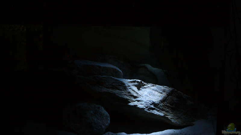Grosser Fels unterm Nachtlicht von Tobias Seiffert (2)