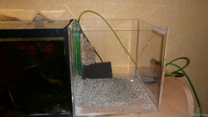 Aquarium Fotokasten von Cichlid Power (2)