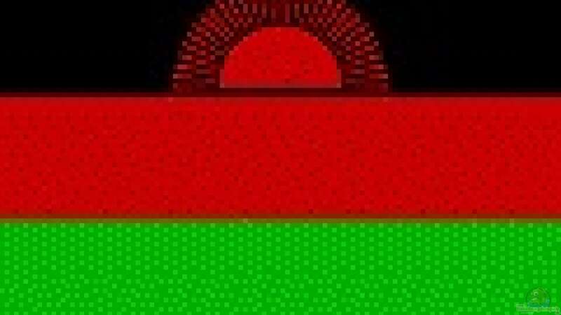 Malawi... Land, Leute, See...