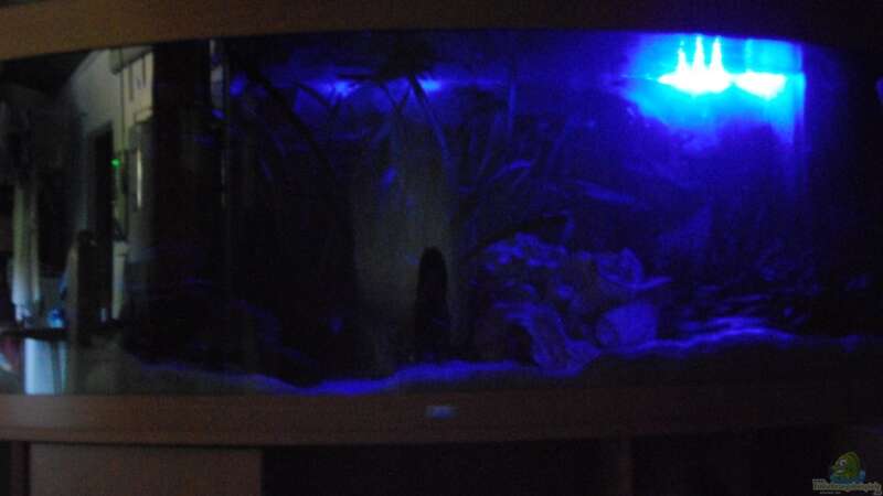 Aquarium bei Mondlicht von schwiizerfisch93 (4)