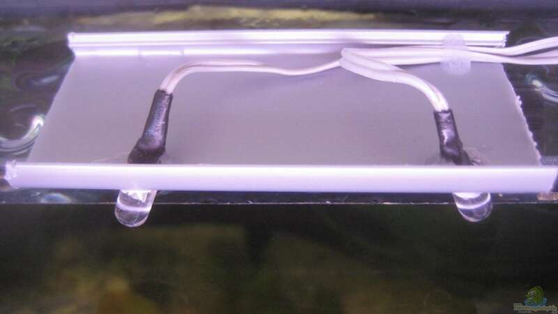 2 löcher in ein stück kalbelschiene gebohrt, dioden verklebt und mit silikon das von Tiburón (41)
