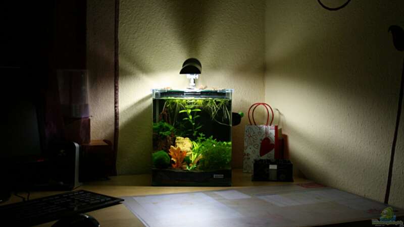 das Cube auf meinem Schreibtisch : ) von Garnelenmami (6)