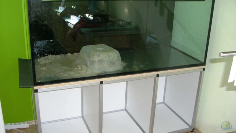 Aquarium Parafreie 540L von Ramses (2)
