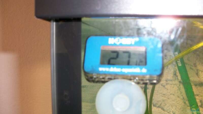 Hobby Digitales Thermometer von SaMo (8)