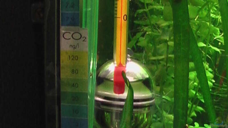 CO-2 Dauertest und Thermometer von Olli N. (17)