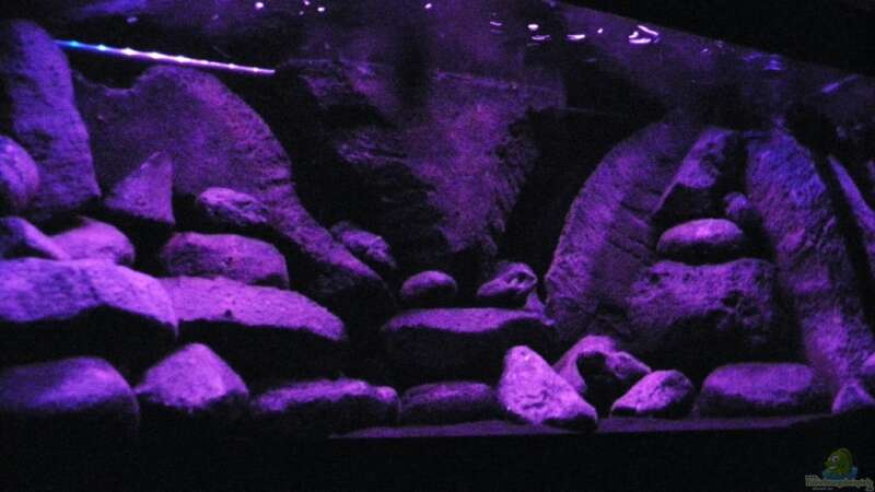 Dekoration im Aquarium BLACK ROCK von LaEy (16)