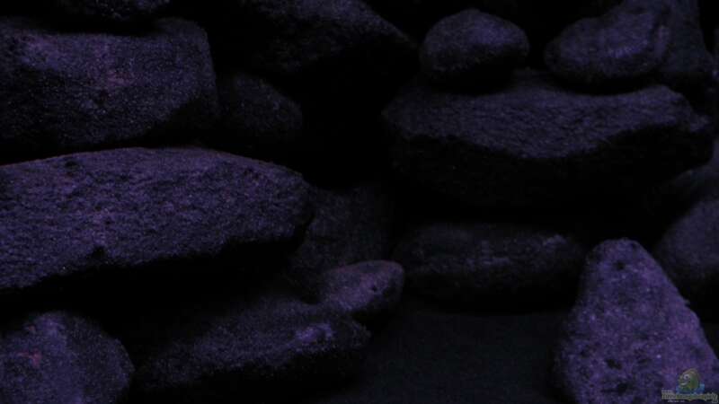 Dekoration im Aquarium BLACK ROCK von LaEy (8)
