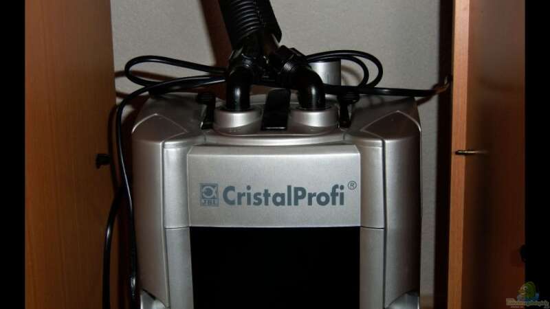 Außenfilter - JBL CristalProfi e900 von -Markus- (6)