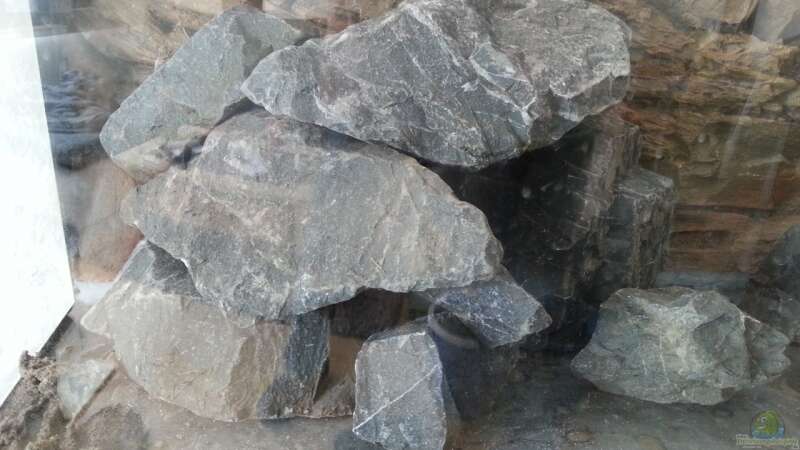 beim Aufbau der neuen Steine grauer Basalt  von Sebastian O. (9)