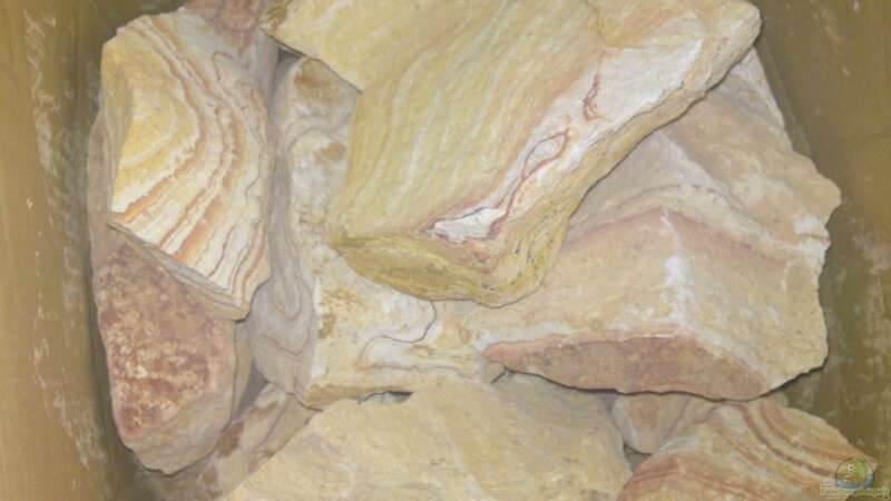 Aus diesem Regenbogen-Sandstein wurde der Wurzelunterbau erstellt. von GGuardiaNN (44)