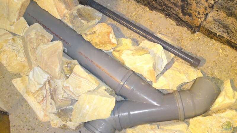 Die 100er PVC-Rohre für die durchschwimmbare Höhle. Sie hat 3 Ein-/Ausgänge. von GGuardiaNN (45)
