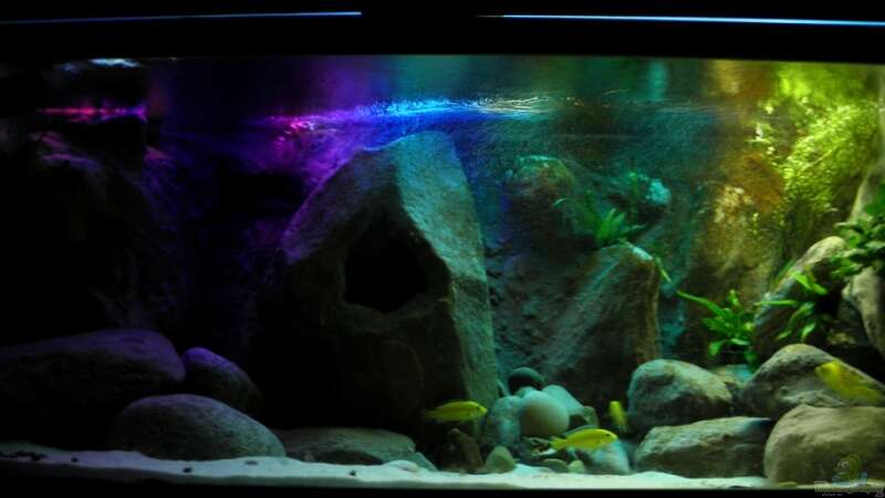Aquarium Hauptansicht von Yellowhome von Franek (1)