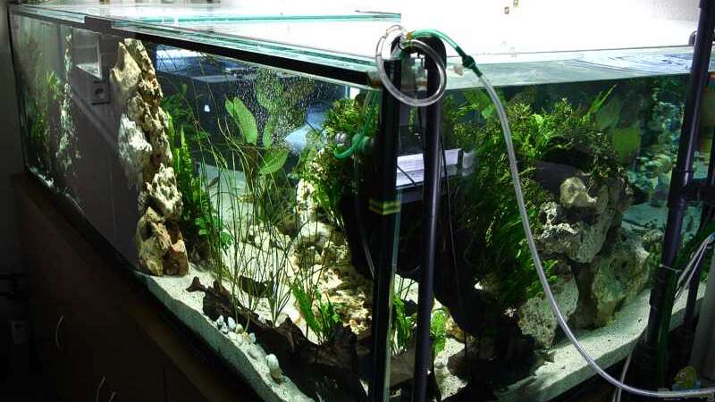 Das Aquarium von hinten in einem Nebenraum von Ingo (4)