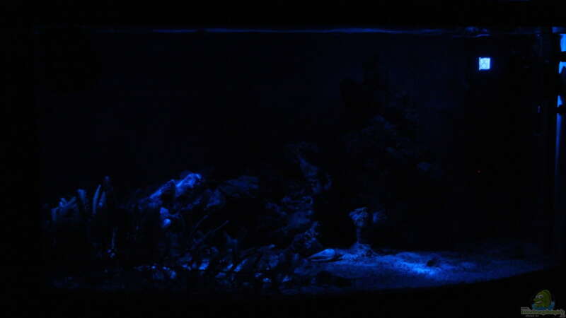 Becken bei Nacht nur mit LED-Mondlicht von Sven K. (13)