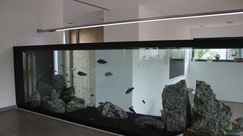 Aquarium Hauptansicht von unsere Küchenrückwand ) von anton (1)