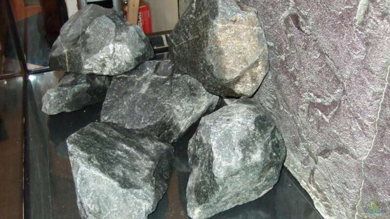 die ersten Steine liegen auf der Plexiglasscheibe von Crenii (17)