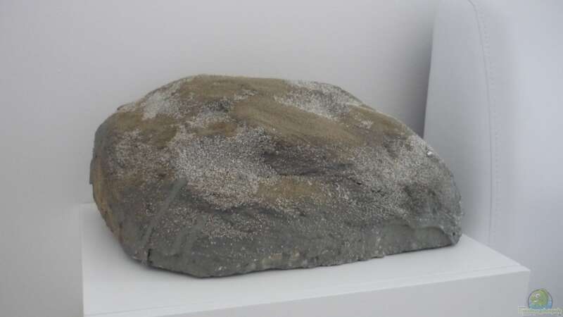 Stein im Eigenbau - siehe Blog von Chris_R. (27)