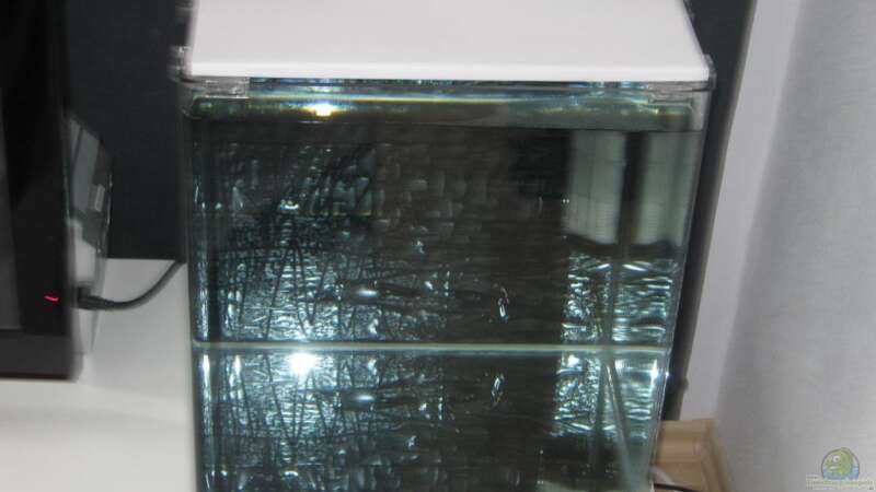 Aquarium Hauptansicht von Nano Cube 60L von Subeaste (1)