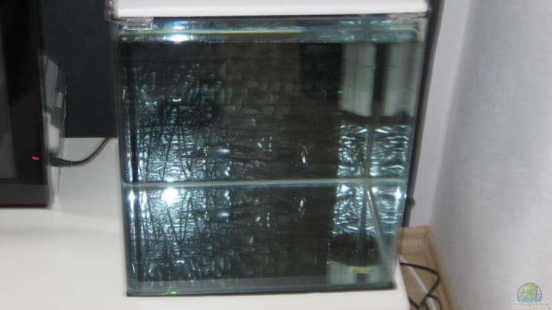 Aquarium Nano Cube 60L von Subeaste (3)