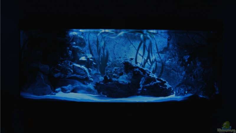 Aquarium mit Mondlicht von M3z (5)