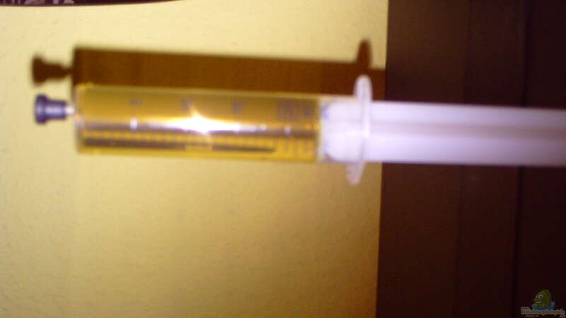 mit der spritze dosiere ich jbl ferropol 4 ml pro tag von Klumpen (11)