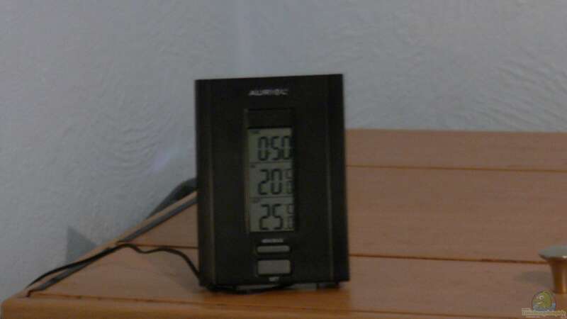 Temperaturanzeige von DominikZ (23)