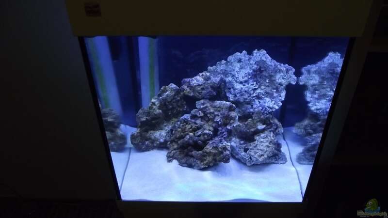 Aquarium Midi-Cube Meerwasser von Dr. Manhattan (2)