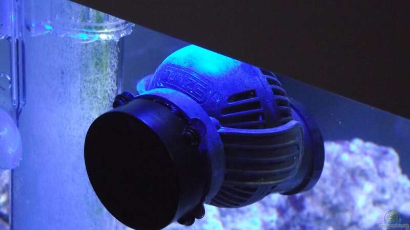 Technik im Aquarium Midi-Cube Meerwasser von Dr. Manhattan (21)