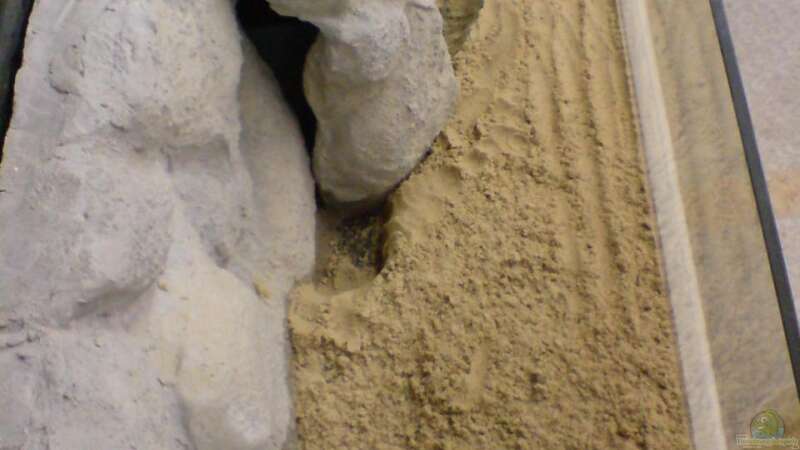 Auf den frischen Beton kam Sand, welcher dann noch ordentlich angefeuchtet wurde von timme (10)
