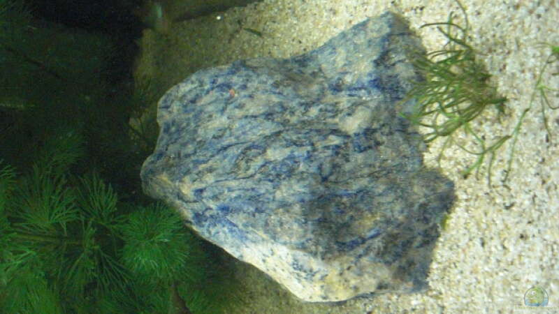 blauer stein von the pepper (8)