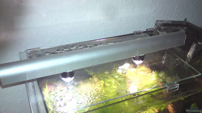 ... und ca. 2,5W Warmweiß LED Stripe von Aquamaster (12)