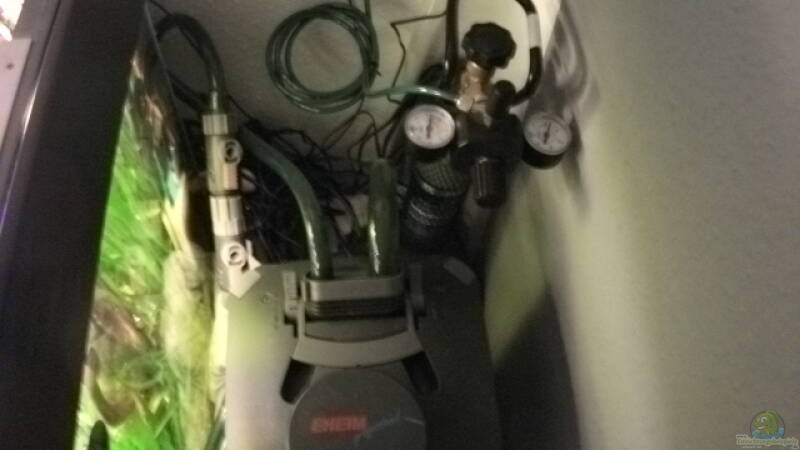 Co2 Anlage mit 500gr Flasche und Eheim 2324 Thermofilter von Daniele (15)