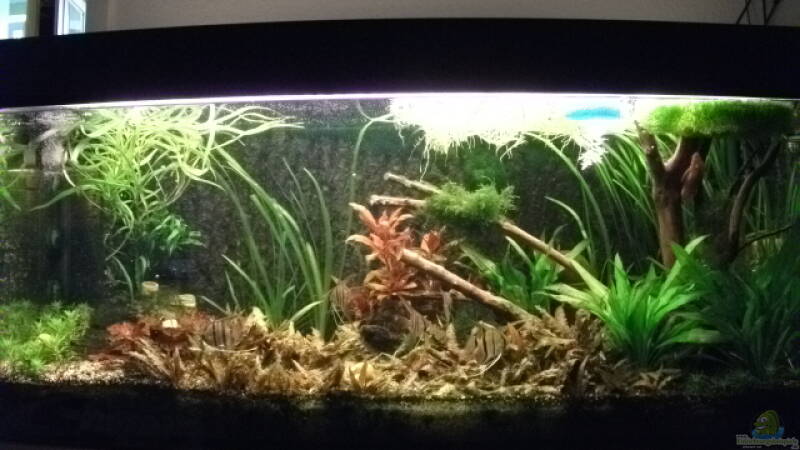 Stand 22.05.2011 von Daniele (3)