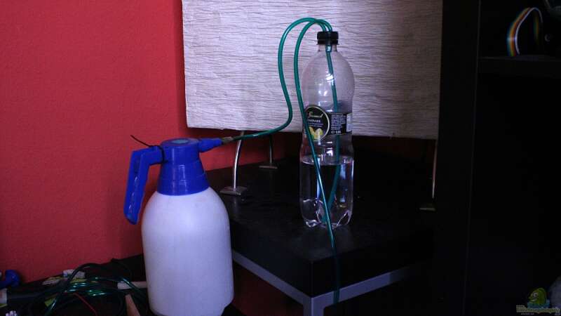 2 L Hefereaktor und Waschflasche (=Blasenzähler). Hält 1-2 Monate bei 5-10 Blasen von vixen (16)