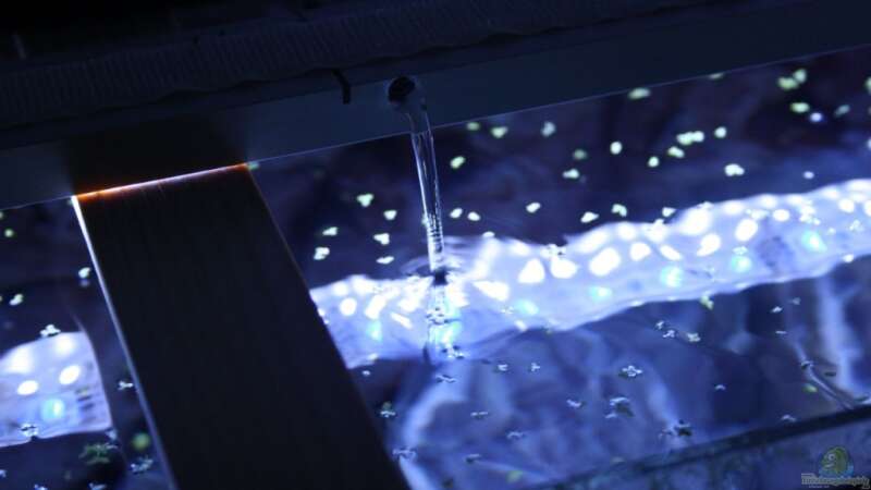 LED-Wasserkühlung von skipper1202 (6)
