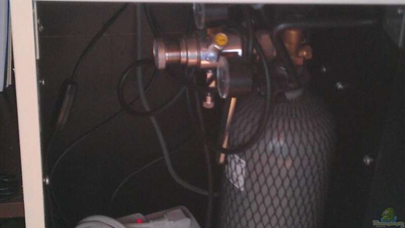 Co2-Anlage mit Magnetventil - angeschlossen an Zeitschaltuhr - mit Licht gekoppelt von diskuseum (13)