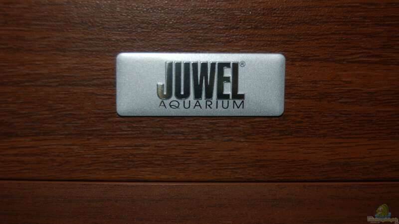 Juwel Aquarium von Sven Seibert (20)