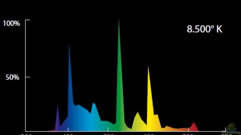 Spektrum der Tropical River Leuchtröhre von JörgsMalawis (36)