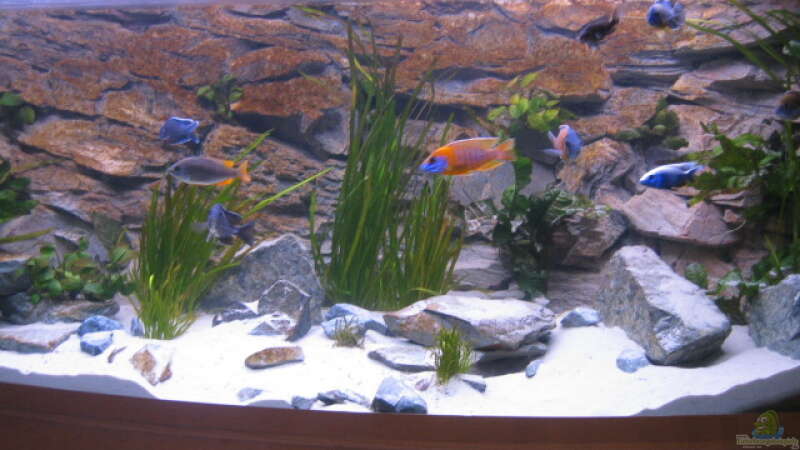 Aquarium Becken 2162 von Kasanga (2)