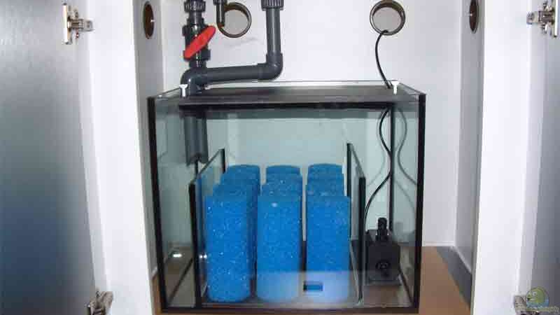 Doppelter Boden in der Filterkammer, dadurch muß das Wasser durch die runden Filterschwämme, von Johann Fellner (16)