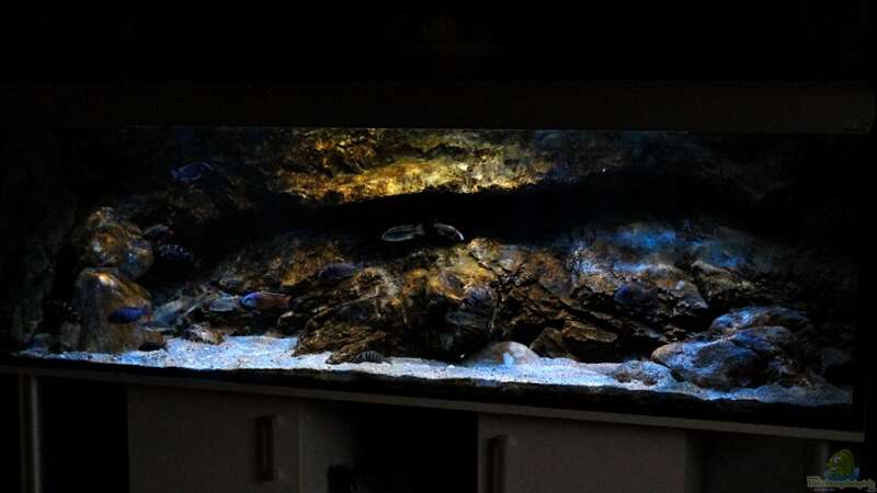 Aquarium Hauptansicht von Rockzolid Cave (Aufgelöst) von marxbre (1)