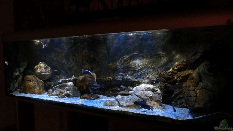 Aquarium Rockzolid Cave (Aufgelöst) von marxbre (10)
