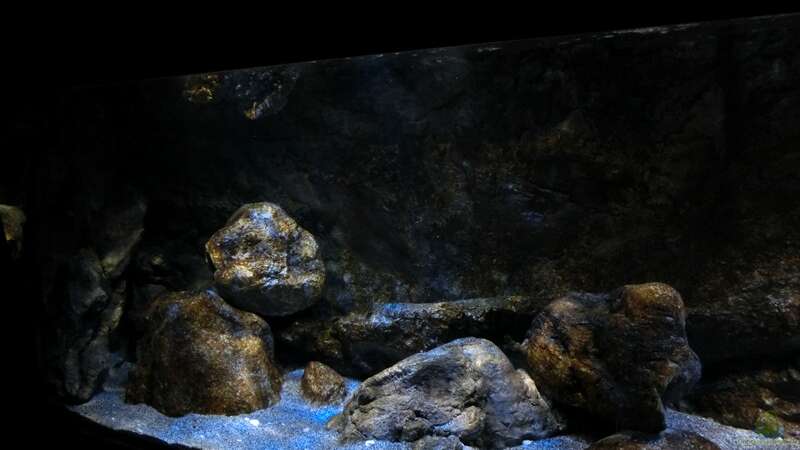 Aquarium Rockzolid Cave (Aufgelöst) von marxbre (13)