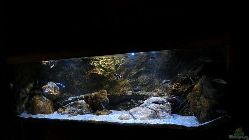 Aquarium Rockzolid Cave (Aufgelöst) von marxbre (15)