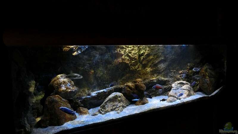 Aquarium Rockzolid Cave (Aufgelöst) von marxbre (16)