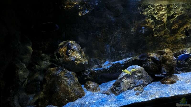 Aquarium Rockzolid Cave (Aufgelöst) von marxbre (17)