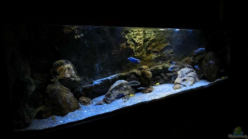 Aquarium Rockzolid Cave (Aufgelöst) von marxbre (2)