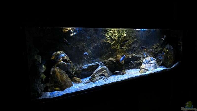 Aquarium Rockzolid Cave (Aufgelöst) von marxbre (4)