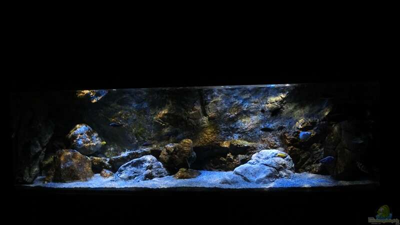 Aquarium Rockzolid Cave (Aufgelöst) von marxbre (7)