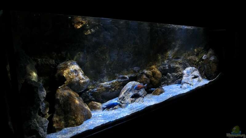 Aquarium Rockzolid Cave (Aufgelöst) von marxbre (8)
